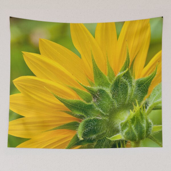 Item preview, Sunflower designed and sold by Michael Cummings.