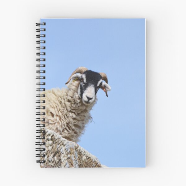 Item preview, Ram On The Roof designed and sold by Malcolm Snook.