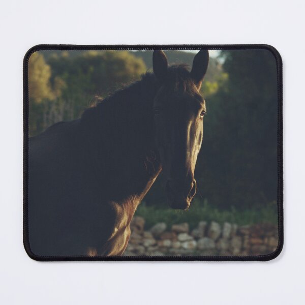 Item preview, Black Stallion photo, horse under italian sunset  designed and sold by Spallutos.
