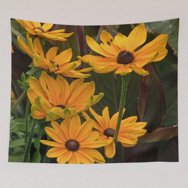 Item preview, Brown Eyed Susan designed and sold by Michael Cummings.