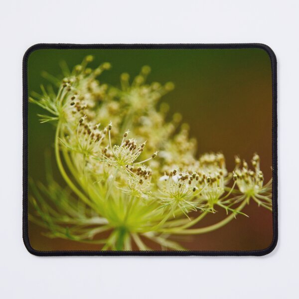 Item preview, Queen Anne's Lace designed and sold by Michael Cummings.