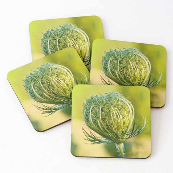 Item preview, Queen Anne's Lace designed and sold by Michael Cummings.