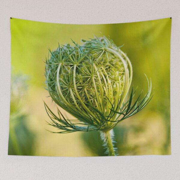 Item preview, Queen Anne's Lace designed and sold by Michael Cummings.