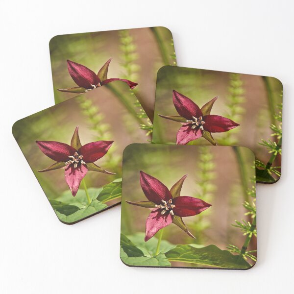 Item preview, Red Trillium designed and sold by Michael Cummings.