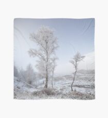 Glen Shiel Misty Winter Trees Scarf