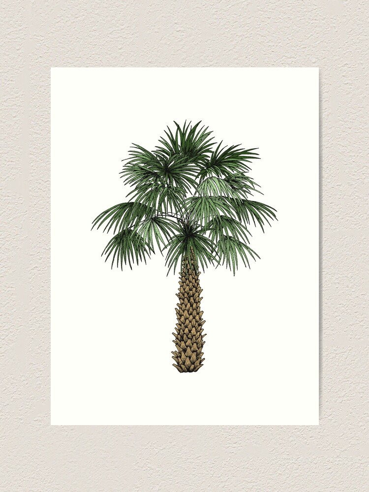 South Carolina Palmetto Moon: Retro Travel Poster Wall Art, Canvas Prints,  Framed Prints, Wall Peels