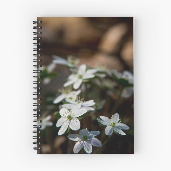 Item preview, Hepatica designed and sold by Michael Cummings.