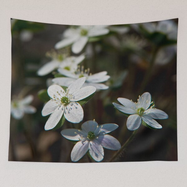 Item preview, Hepatica designed and sold by Michael Cummings.