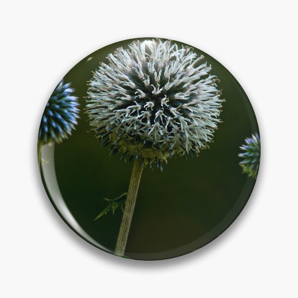 Item preview, Globe Thistle designed and sold by Michael Cummings.