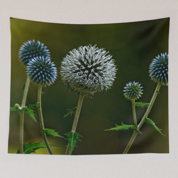 Item preview, Globe Thistle designed and sold by Michael Cummings.