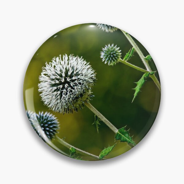 Item preview, Globe Thistle designed and sold by Michael Cummings.