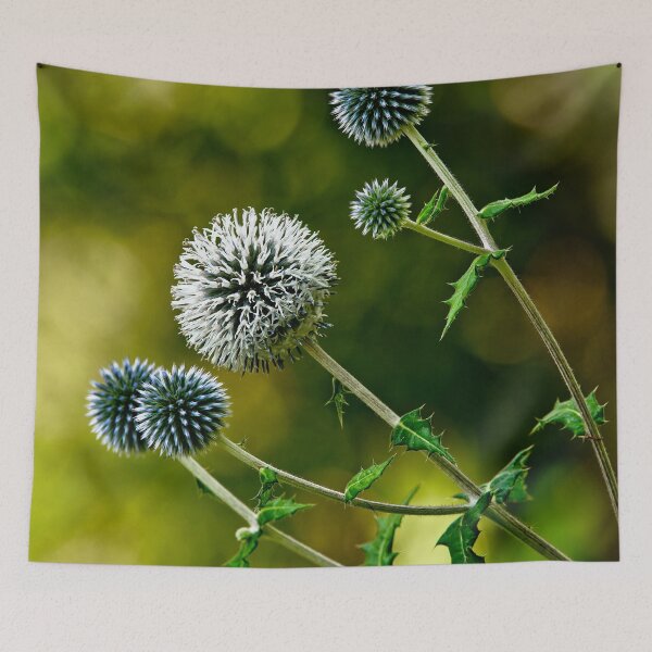 Item preview, Globe Thistle designed and sold by Michael Cummings.
