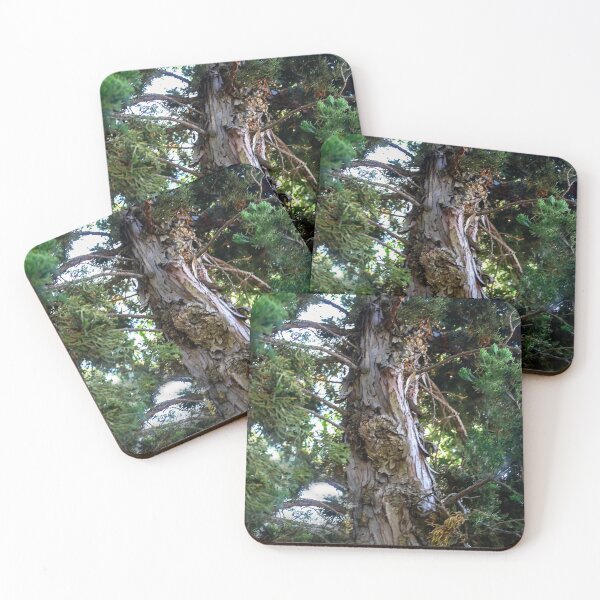 Item preview, Reaching Skyward designed and sold by heatherfriedman.