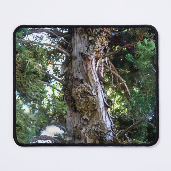 Item preview, Reaching Skyward designed and sold by heatherfriedman.