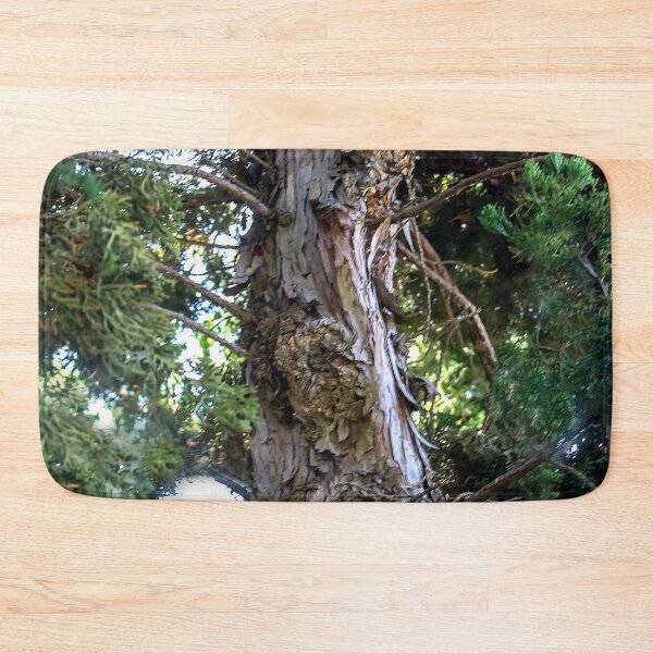 Item preview, Reaching Skyward designed and sold by heatherfriedman.