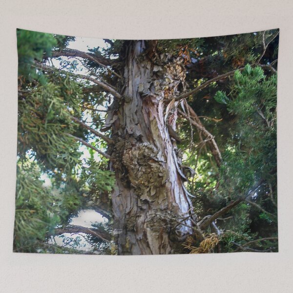 Item preview, Reaching Skyward designed and sold by heatherfriedman.