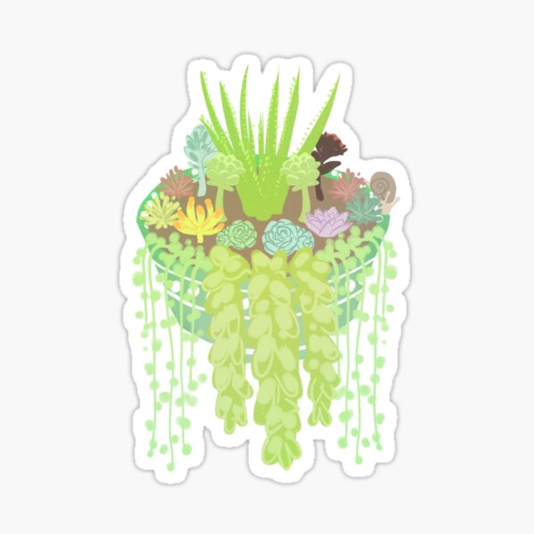 Succulent Friends Sticker