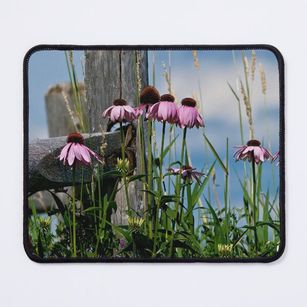 Item preview, Purple Cone Flower designed and sold by Michael Cummings.