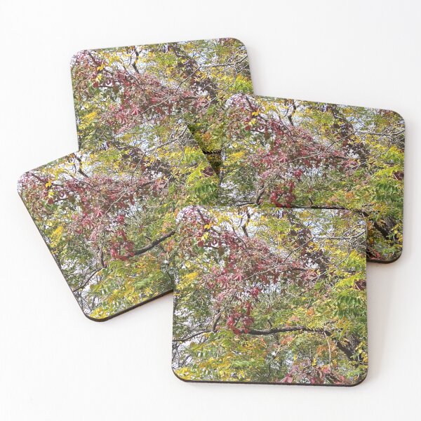 Item preview, Early Autumn designed and sold by ElphCreations.