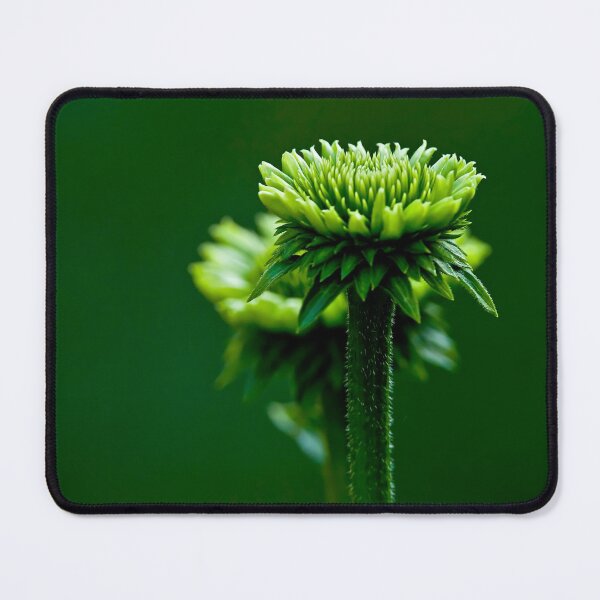 Item preview, Purple Cone Flower  designed and sold by Michael Cummings.