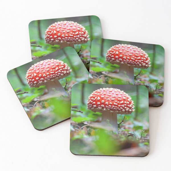 Item preview, Fly Agaric (Amanita Muscaria) designed and sold by Ireland Photography.
