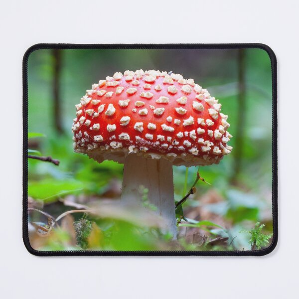 Item preview, Fly Agaric (Amanita Muscaria) designed and sold by Ireland Photography.