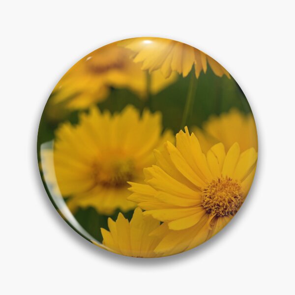 Item preview, Coreopsis designed and sold by Michael Cummings.