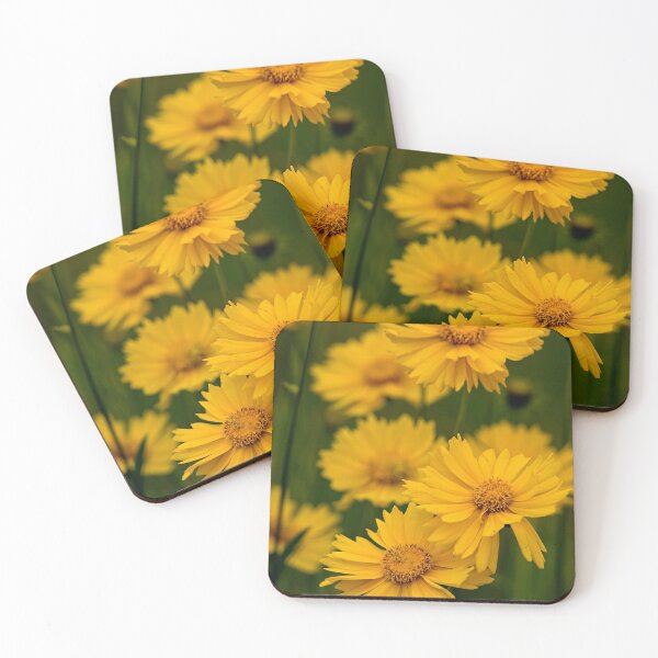 Item preview, Coreopsis designed and sold by Michael Cummings.