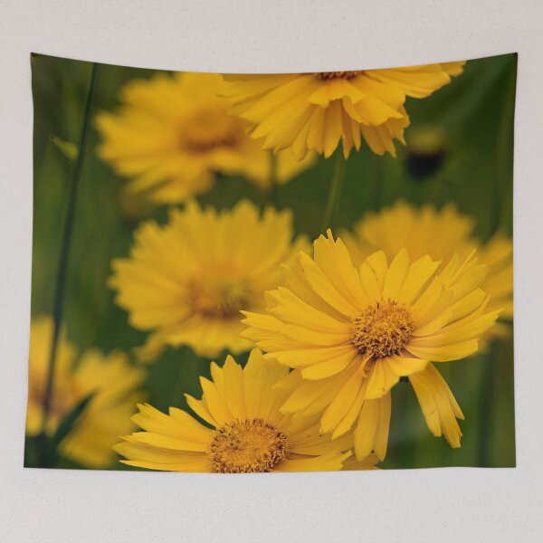 Item preview, Coreopsis designed and sold by Michael Cummings.