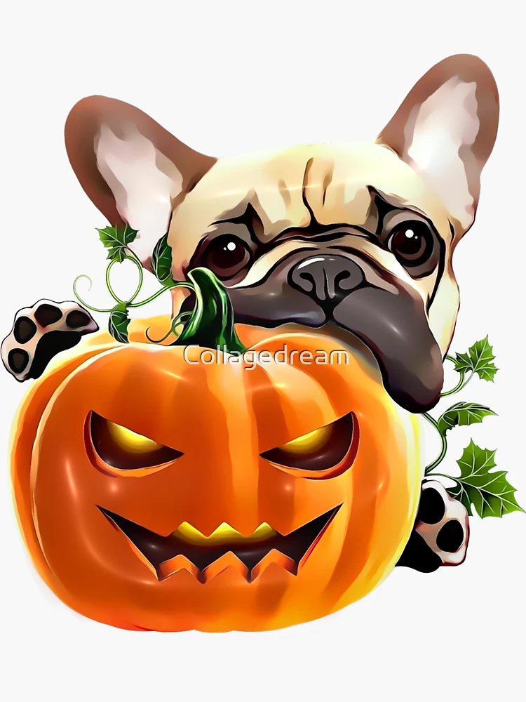 Outlets Halloween Frenchie French bulldog pug pumpkin blanket corgie yorkie throw