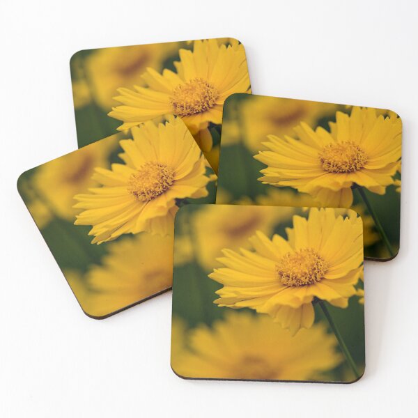 Item preview, Coreopsis designed and sold by Michael Cummings.
