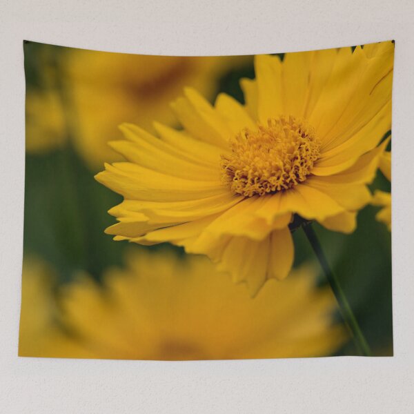 Item preview, Coreopsis designed and sold by Michael Cummings.