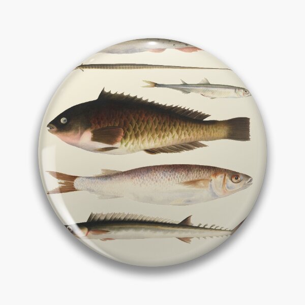 Item preview, Vintage watercolour fish designed and sold by design-emporium.