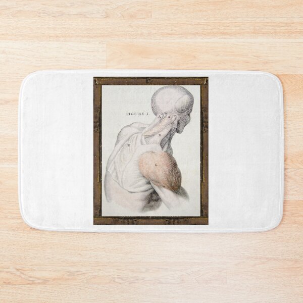 Item preview, Anatomical board Muscles of the upper back and shoulders - Anatomical designs, human body and anatomy boards designed and sold by AdvanceDesign.