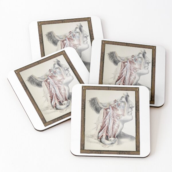 Item preview, Anatomical board Nervous system of the neck - Anatomical designs, human body and anatomy boards designed and sold by AdvanceDesign.