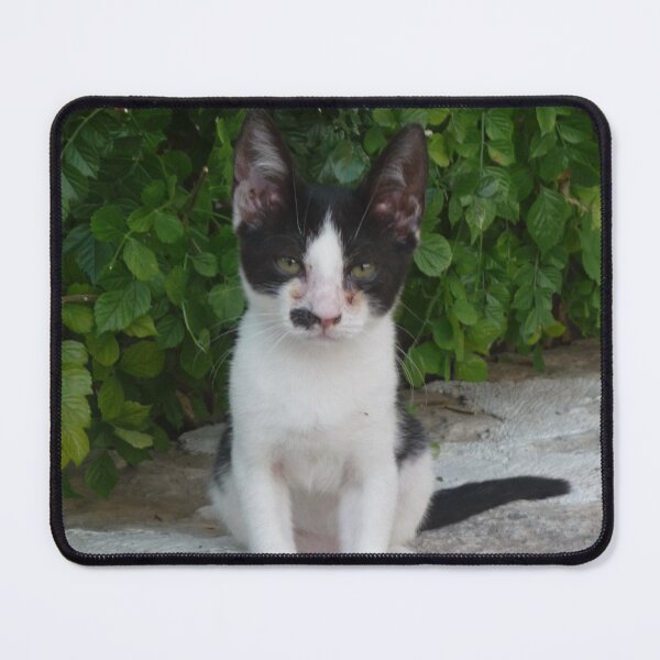 Item preview, Waiting Kitten designed and sold by GMApperal.
