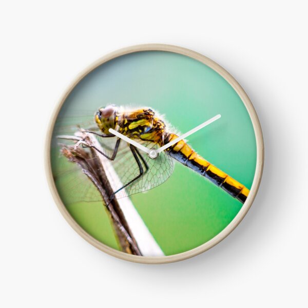 Item preview, Dragonfly designed and sold by Edward Nekrasov.