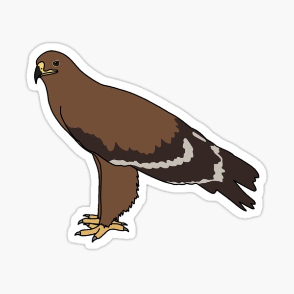 Pegatina «Águila de estepa» de taylorrowan | Redbubble