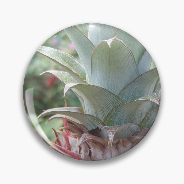 Item preview, Baby Pineapple Head on its Tree designed and sold by Bennymp.