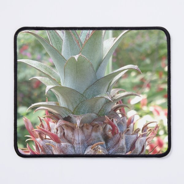 Item preview, Baby Pineapple Head on its Tree designed and sold by Bennymp.