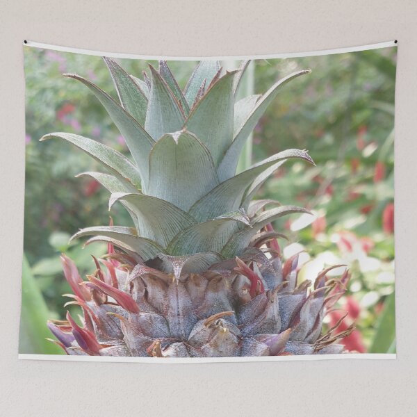 Item preview, Baby Pineapple Head on its Tree designed and sold by Bennymp.