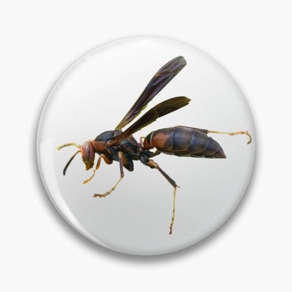 Item preview, Paper Wasp designed and sold by MBCimages.