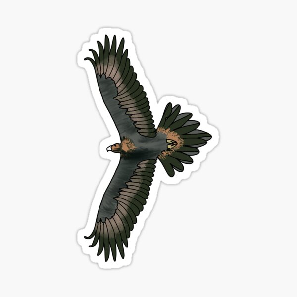 Item preview, wedge tailed eagle designed and sold by designsbymurray.