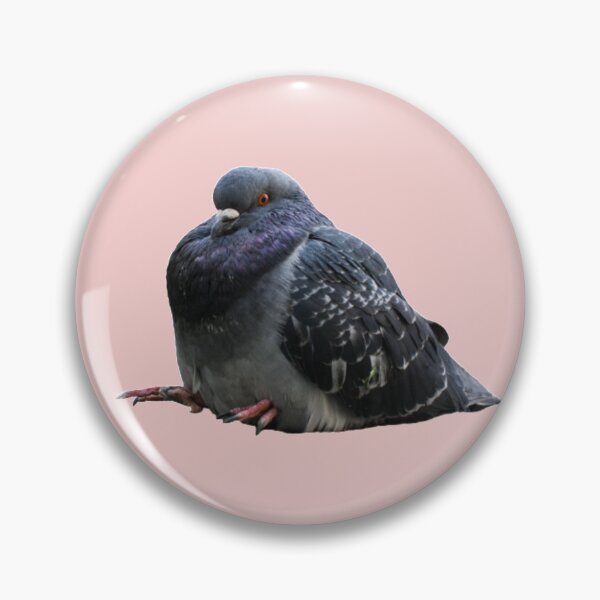Item preview, Chubby pigeon sitting designed and sold by tttatia.