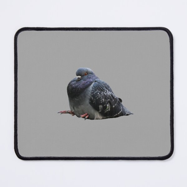 Item preview, Chubby pigeon sitting designed and sold by tttatia.