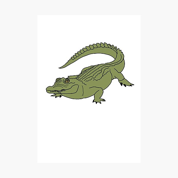 Green Crocodile Skin Pattern Animal print Photographic Print for Sale by  anfeloga
