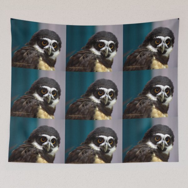 Item preview, Spectacled Owl designed and sold by Katagram.