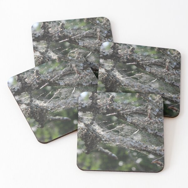 Item preview, Littered with Webs designed and sold by SariePhotograph.