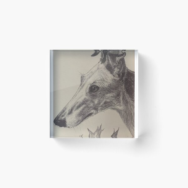 Squirrel patrol Acrylic Block