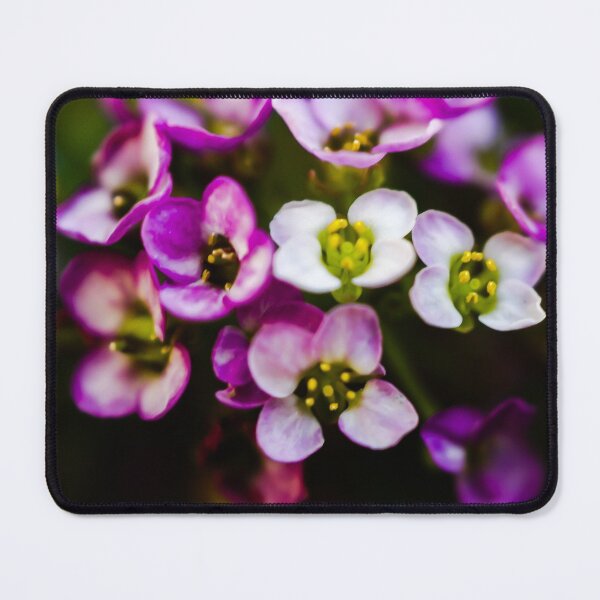 Item preview, EVERLASTING Love designed and sold by Michelle Lee Blatt.